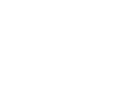 reno